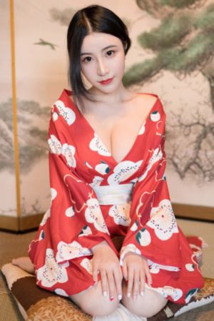 京华春梦 电视剧_全集在线观看